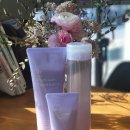 마지크헤어 이미지