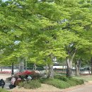 경포호수 5 이미지