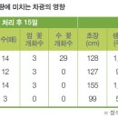 [오이] 생육단계별 생육특성 이미지