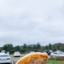 [충남/서산]여행코스 백종원의 골목식당 ‘해미호떡’ 내돈내산 솔직 방문 후기