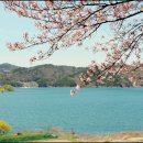 오동선(요골) 이미지