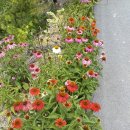 길손농장 이미지