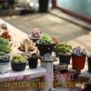 군생 위주로 이미지