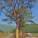 늘솔펜션 이미지