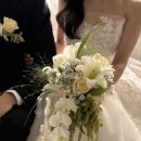 플레르무이