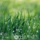 생명의소리Ⅰ 이미지