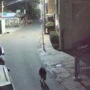 행정용 6 이미지