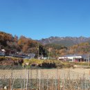 다수2리경로당 이미지