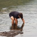 명당옥수 이미지