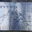 자운 이미지