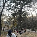 모멘트핏 이미지