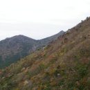 망산 이미지