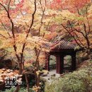 미술관옆 이미지