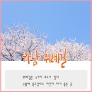 매직스크린아트 가족극 <오버코트> 이미지