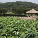 골정지 연합뉴스