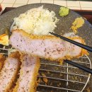 카츠 디나인(카츠 D9) 이미지