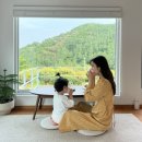 솔향기마을 | [영주숙소] 영주네별장 : 소백산 경치좋은 독채펜션. 그리고 방울이가 있는곳