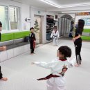 경희대 태권도 | 경희대통일태권도 광명태권도 후기예요