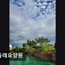 민들레요양병원 이미지