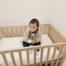 하남 | 서울 소규모 돌잔치 온파티 하남 후기, 모이드테이블 나빛 돌상 상차림