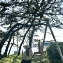 비진보건진료소 이미지