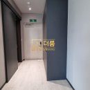 강남-262 이미지