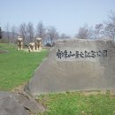 도야미트