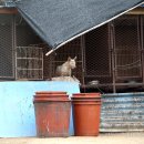 규정농장 이미지