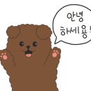 학암포노을펜션 이미지