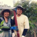 신화농장 이미지
