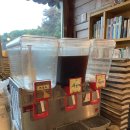 너른마당 | 고양맛집 오리구이 [너른마당] 평일 방문 후기+비 오는 날