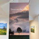 이레팜 | 신혼여행 3일차. 인디고트래블과 함께한 삿포로 후라노 비에이 일일 버스투어