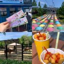 하나리프트 | 서울대공원 동물원 주차 리프트 탑승 후기와 방법