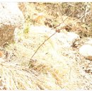 (주)대광이앤씨 이미지