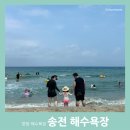 송전3리 | 강원도 양양 송전해수욕장 조개 잡기 스노쿨링 가능한 아이랑 해변 (주차, 샤워장, 화장실 정보)