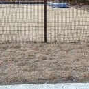 광주송정초등학교 병설유치원 | 광주 송정초등학교 병설유치원 데크형 모래놀이장 설치 (천연 방부목 모래놀이터 설치)