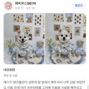 퓨어멍 네이버블로그