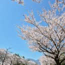 프린세스펜션 | 한화리조트 설악 쏘라노 디럭스 하츄핑 티니핑 프린세스룸 후기