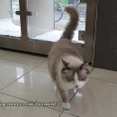 오주동물병원 이미지