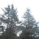 해오름 목장 이미지