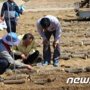 (사)무주천마사업단