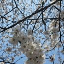 담원 | 광명 하안동 밤일마을 맛집 모임하기 좋은 장소 담원쌈밥 내돈내산 후기입니다