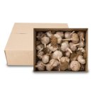 대서우체국 이미지