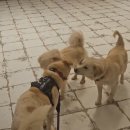 우당탕 랜드 이미지