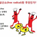 서울숲코오롱디지털타워 이미지