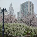 시혜종덕 이미지