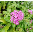 강동공인외국어번역행정사 이미지