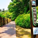 백야자연휴양림 이미지