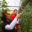 용규농장 이미지