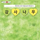 감사나무 뉴스티앤티